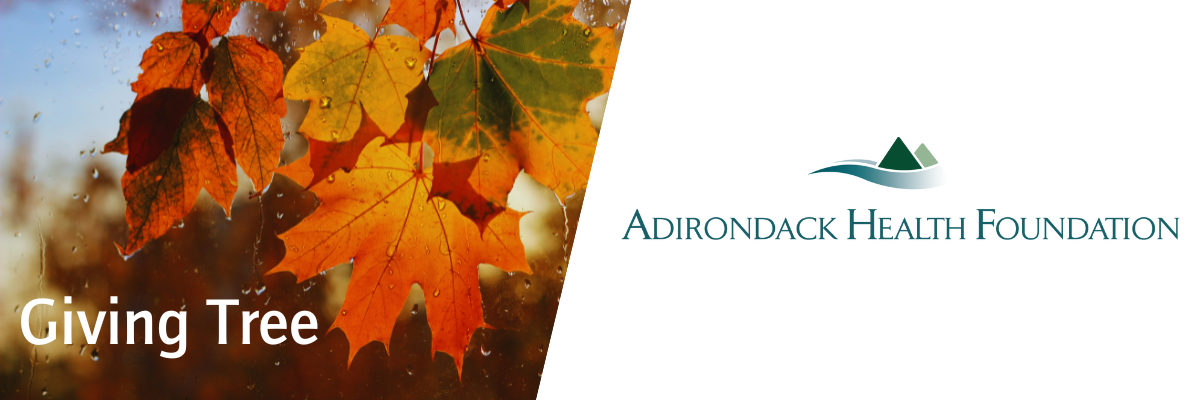 Adirondack Health Foundation Logo