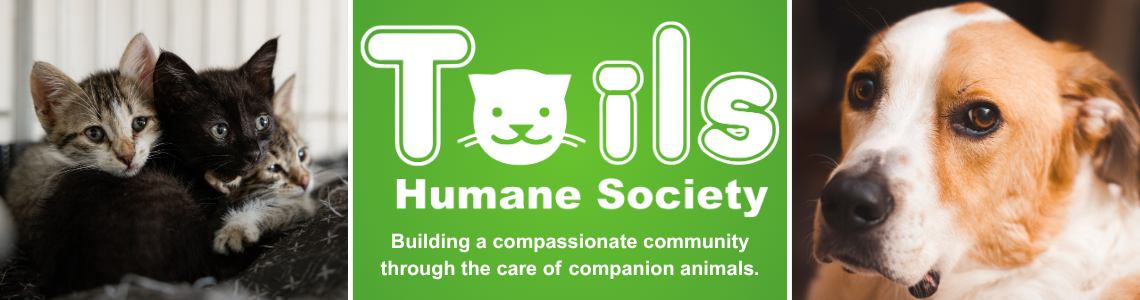Kittens, Tails logo on green background, dog