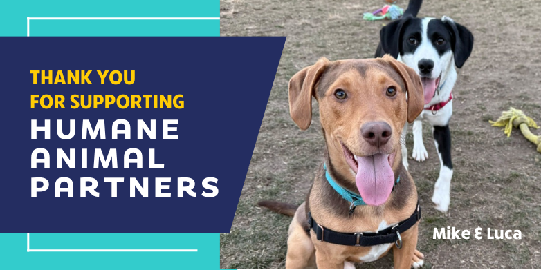 Thank you for supporting humane animal partners