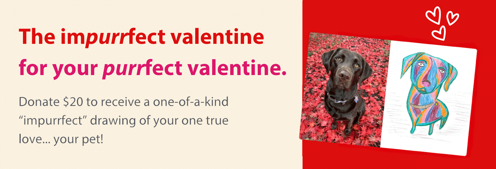 Impurrfect Pet Portraits