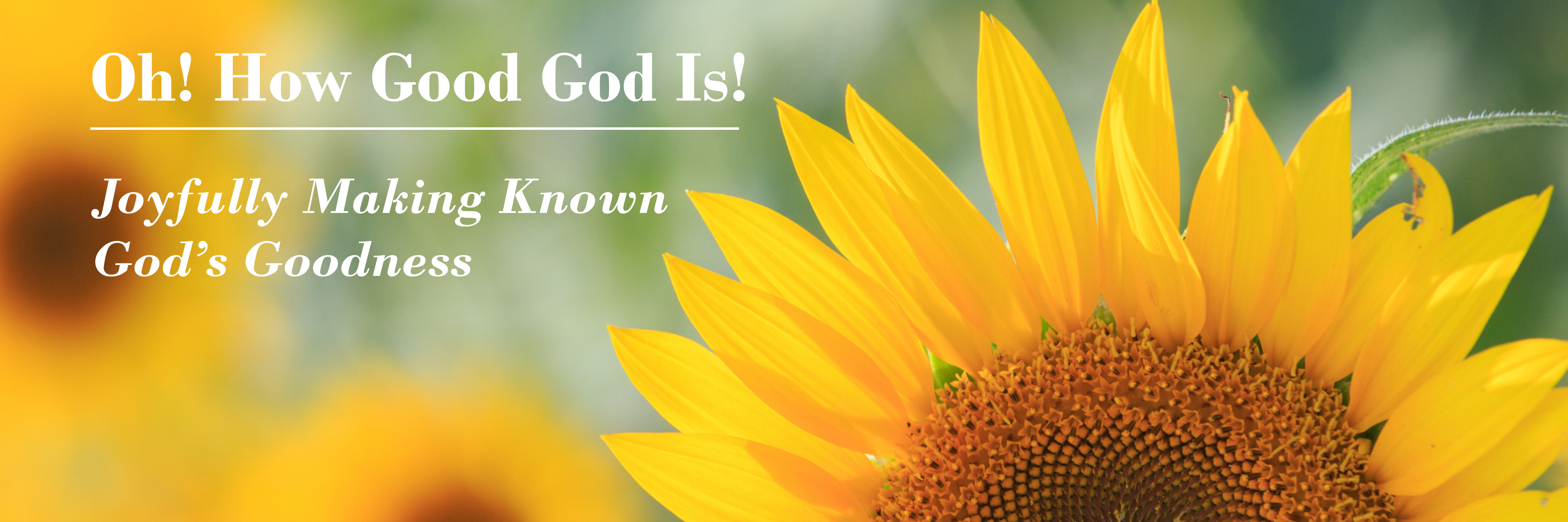 Oh! How Good God Is! Your generosity allows us to sustain commitment to goodness and joy through community, prayer & justice.