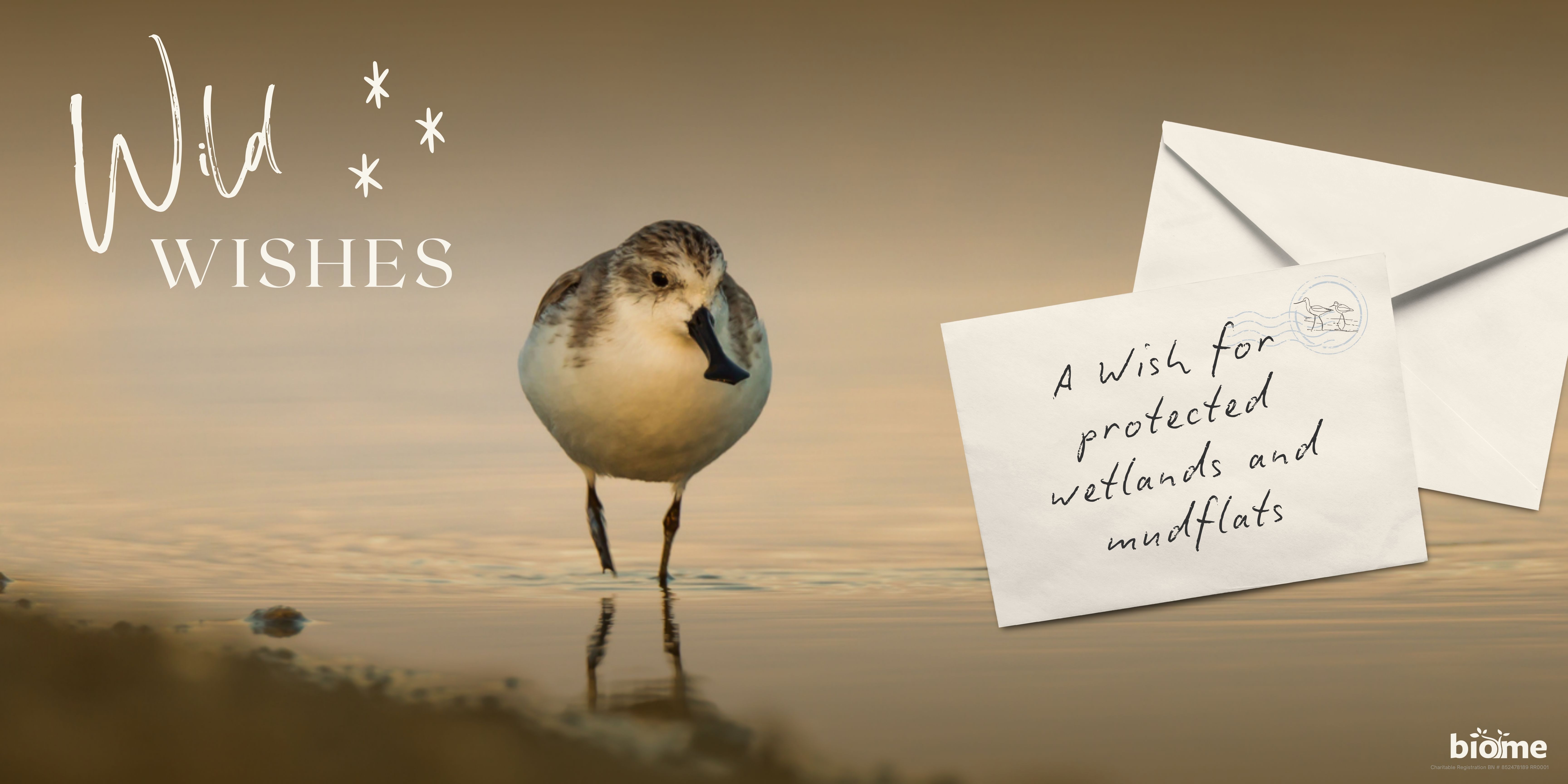 A spoon-billed sandpiper. The title says "Wild Wishes" and there is a handwritten note wishing for protected wetlands.