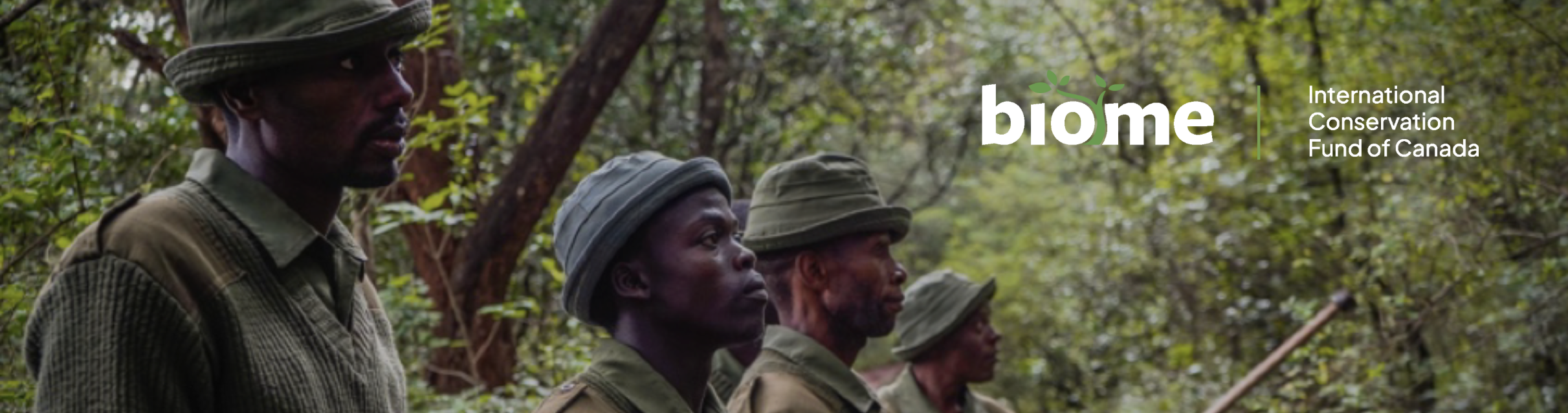 DRC Grauer's gorilla and community forests