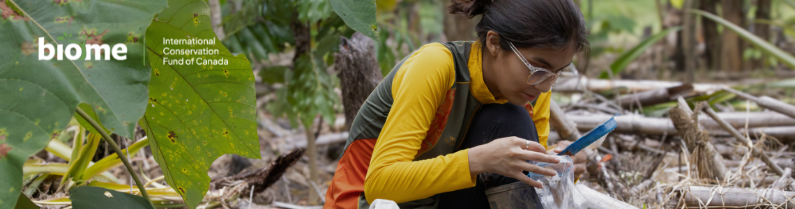 DRC Grauer's gorilla and community forests