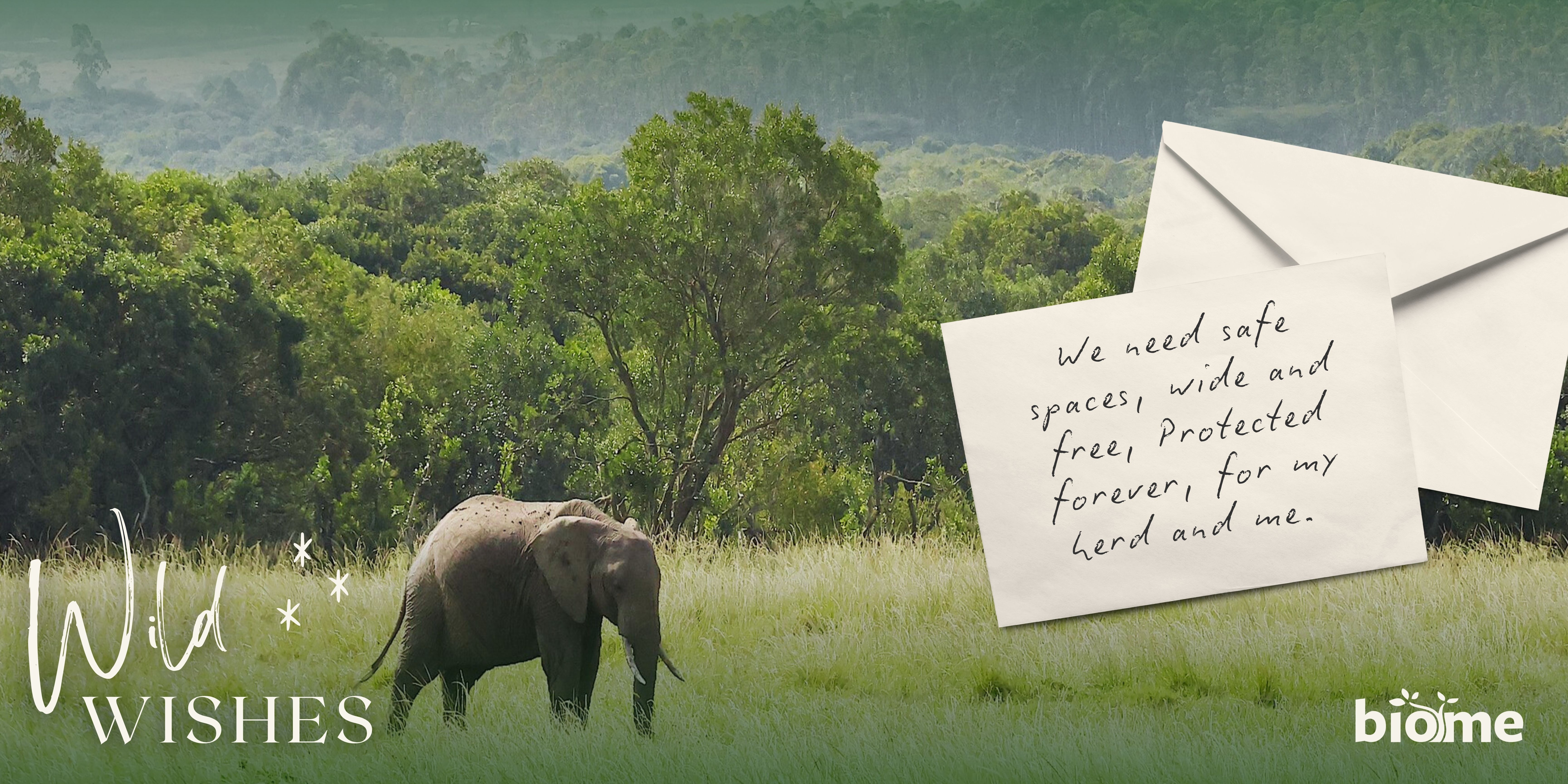 An African Elephant in the savannah, with the title "Wild Wishes" and a handwritten note wishing for protection.