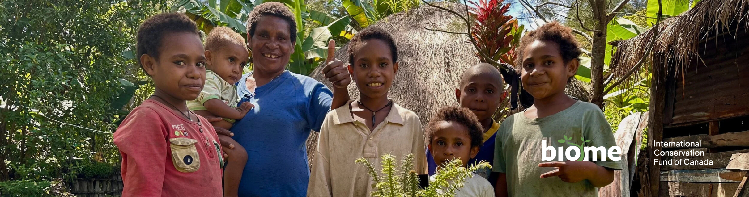 DRC Grauer's gorilla and community forests