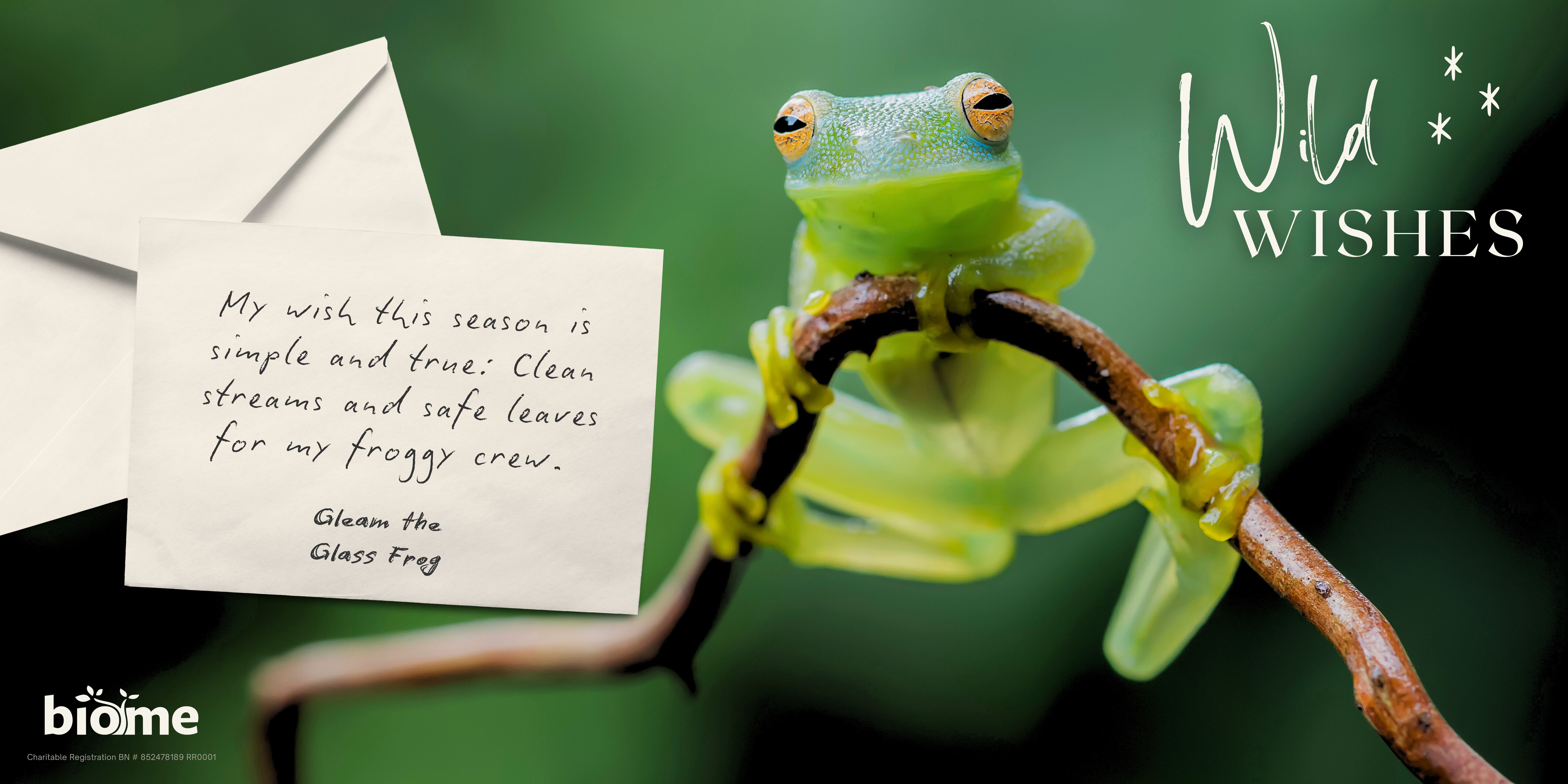 The Glass Frog on a branch. The title is "Wild Wishes" and there is a handwritten note wishing for clean streams.