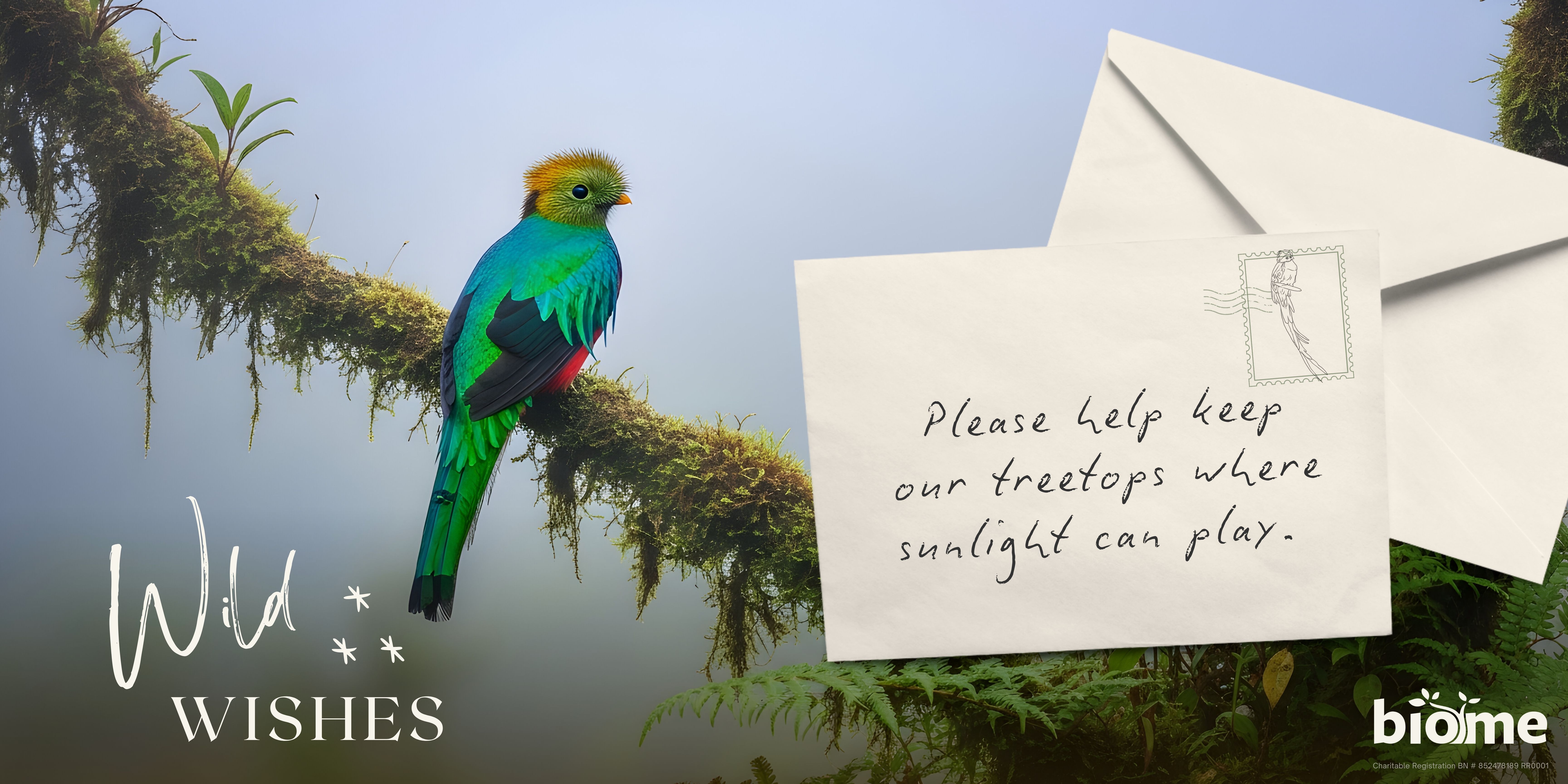 The Quetzal perched on a branch. The title says "Wild Wishes", and there is a handwritten note wishing for protected trees.