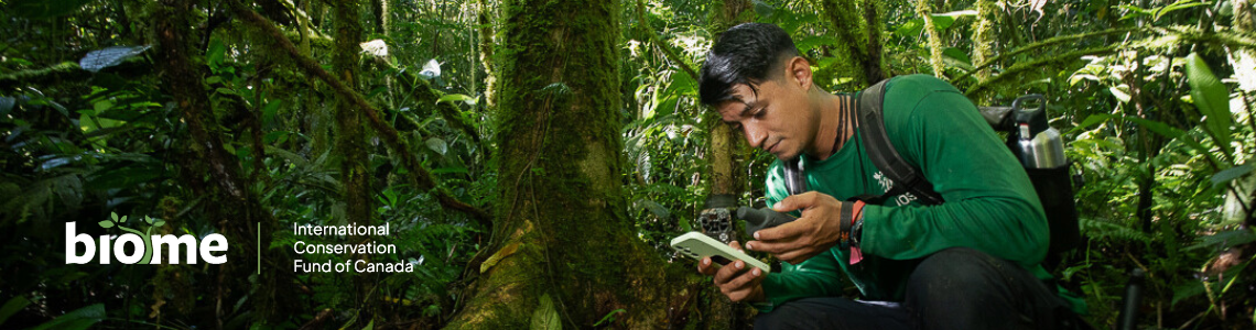 DRC Grauer's gorilla and community forests