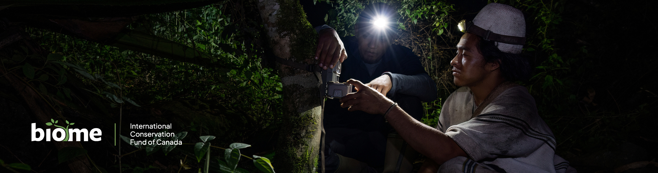 DRC Grauer's gorilla and community forests