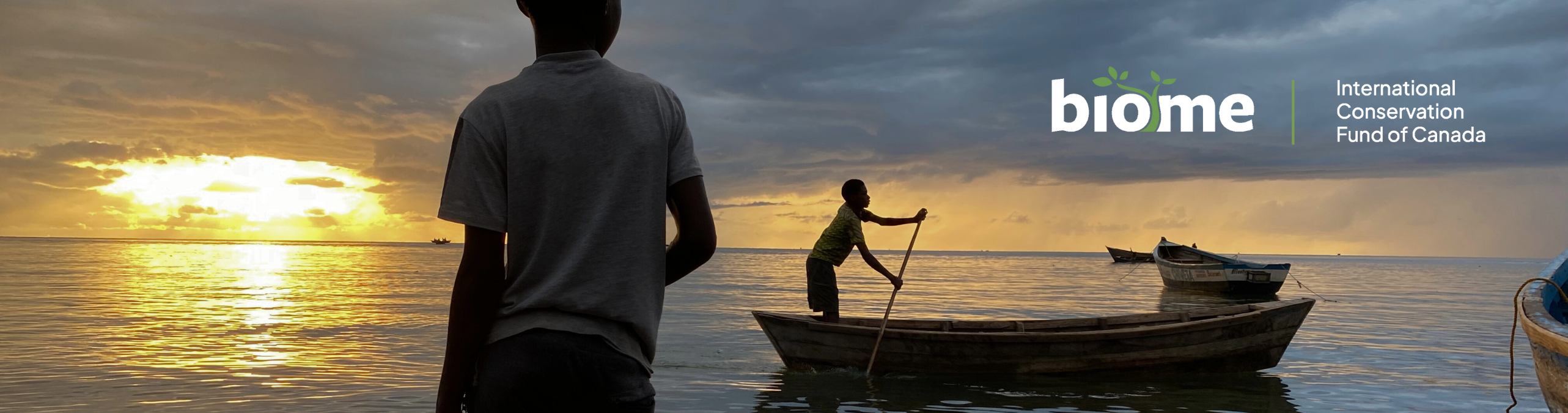 DRC Grauer's gorilla and community forests