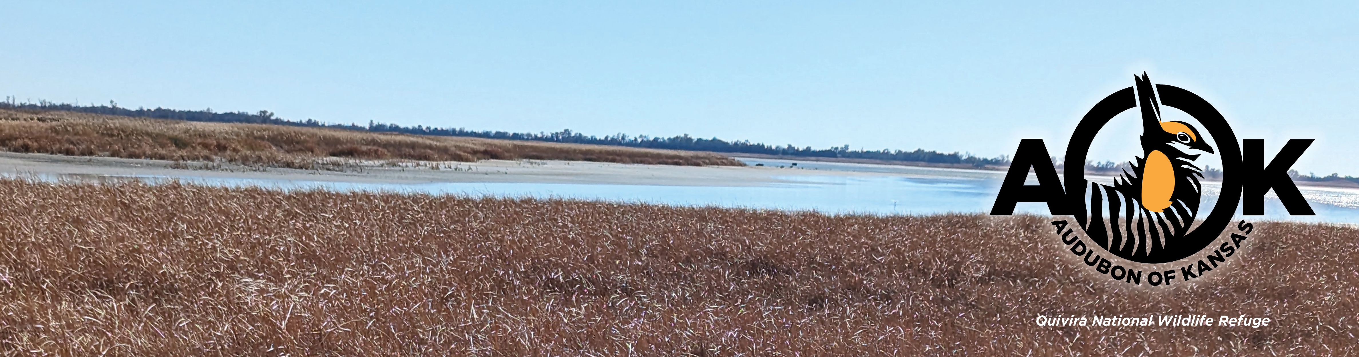 An image of Quivira National Wildlife Refuge