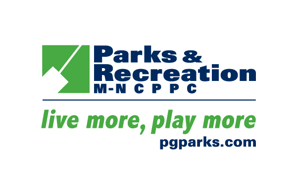 DonorPerfect Forms