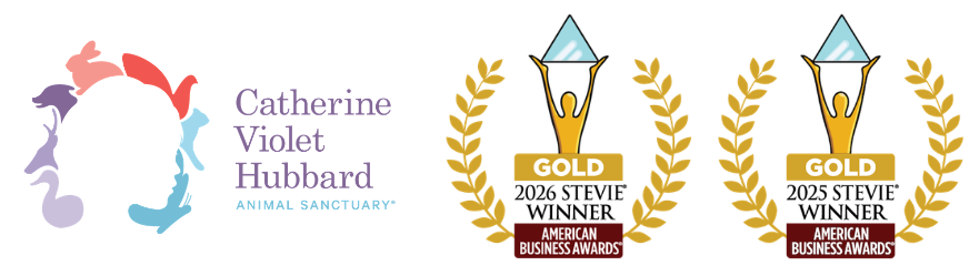 Non Profit of the year - 2 years in a row