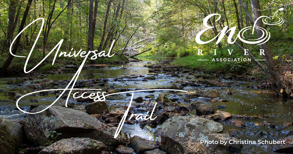 "Universal Access Trail" A touch of sun trickles through the forest canopy, gently illuminating a river full of rocks.