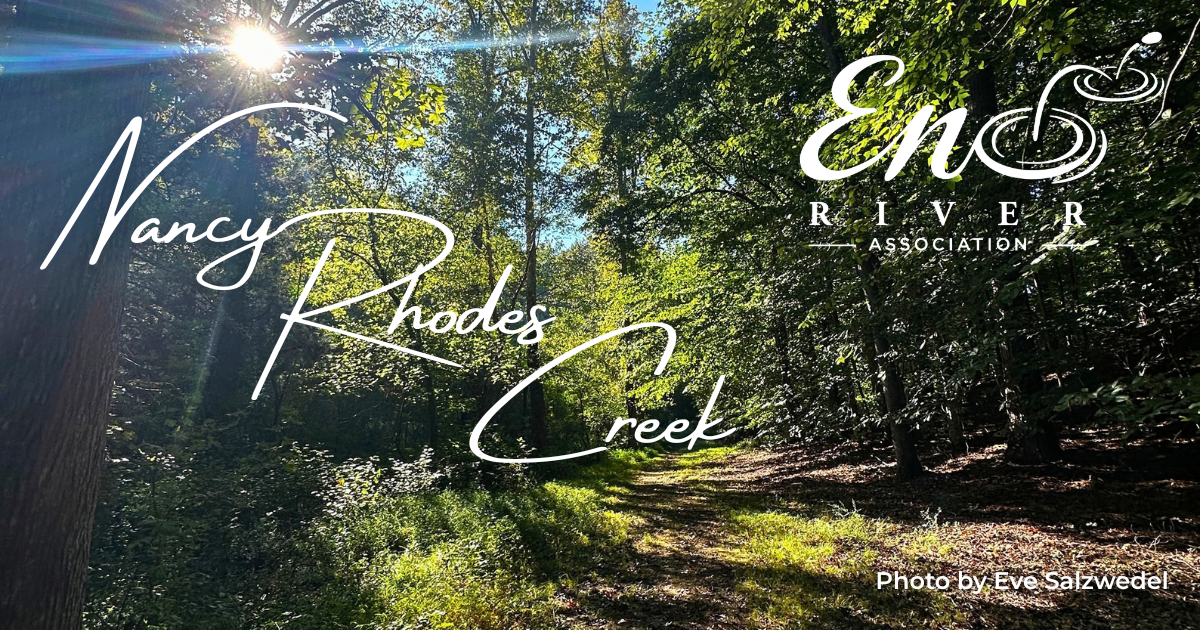 "Nancy Rhodes Creek"