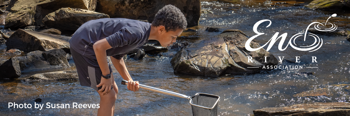 A leaf floats through zigzagging reflections of bright blue sky and green trees on the shiny river's surface by Fred Myers.