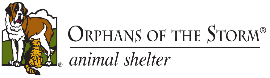 Orphans of the Storm