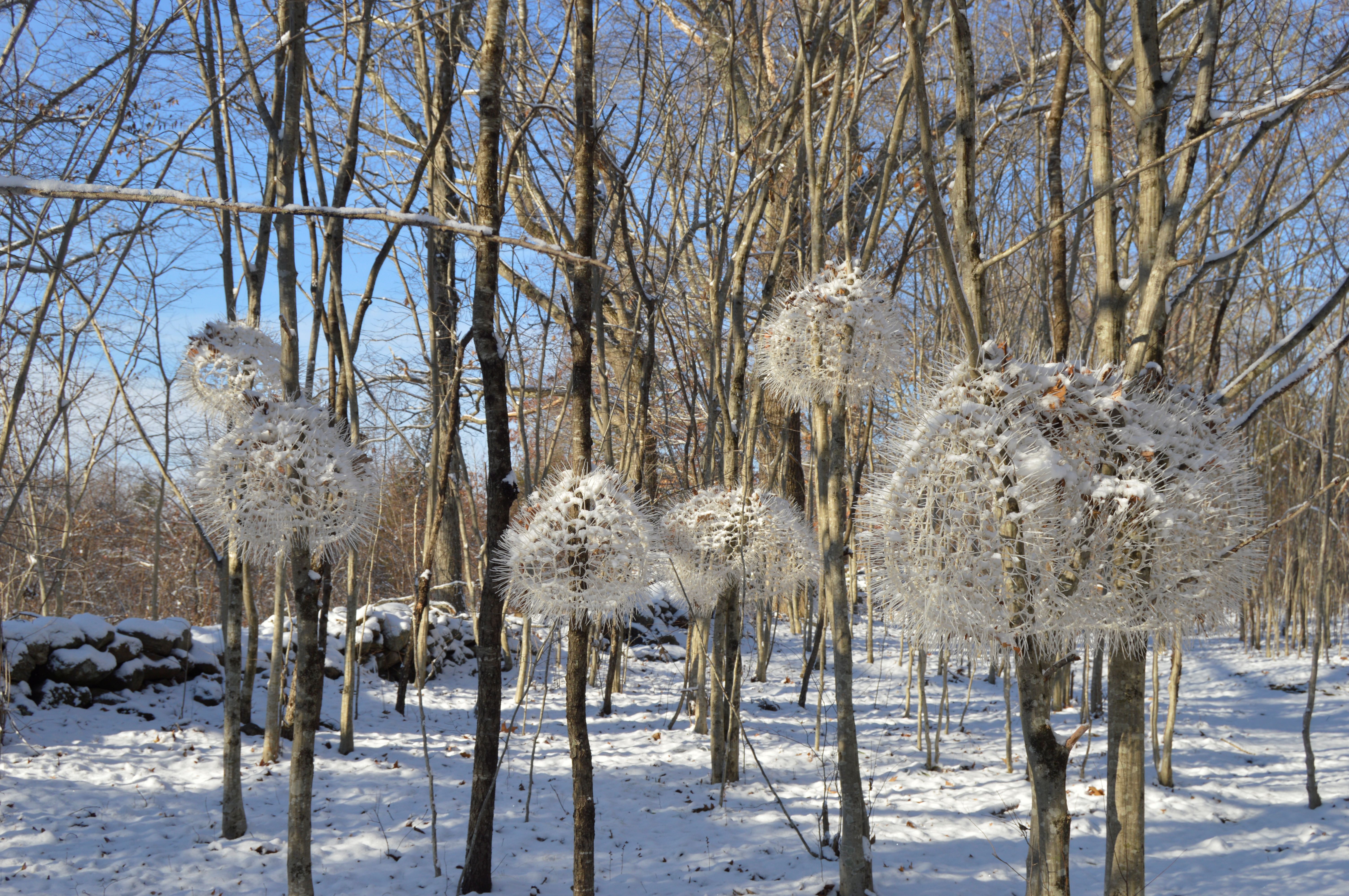 Where the Wind Stays by Sui Park, Photo by I-Park