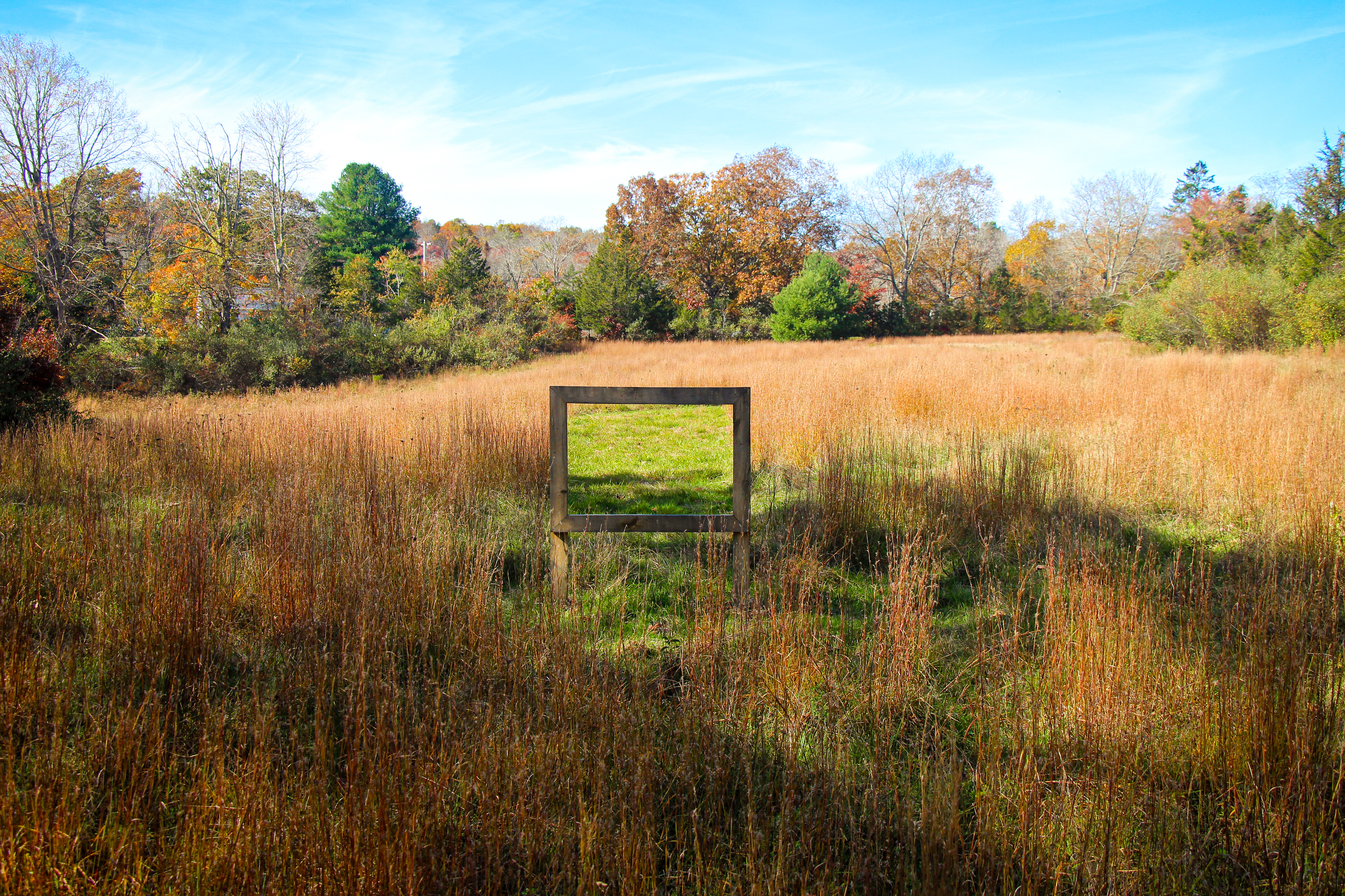 Emily Gui, Landscapes, Photo by Christina Goldberg