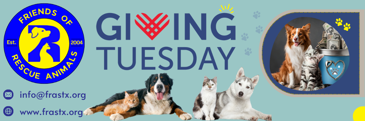 Giving Tuesday Banner